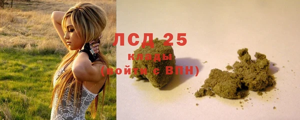 гашик Аркадак