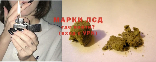 гашик Аркадак