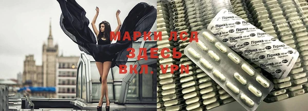 гашик Аркадак