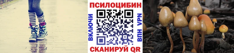 Псилоцибиновые грибы Magic Shrooms  Белая Холуница 
